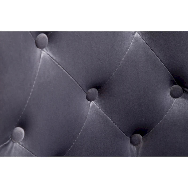 Fauteuil Montura en velours capitonné de Roundhill Furniture (lot de 2)